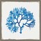 Blue Coral I by Aimee Wilson 16-in. W x 16-in. H. Canvas Wall Art Print Framed in Grey